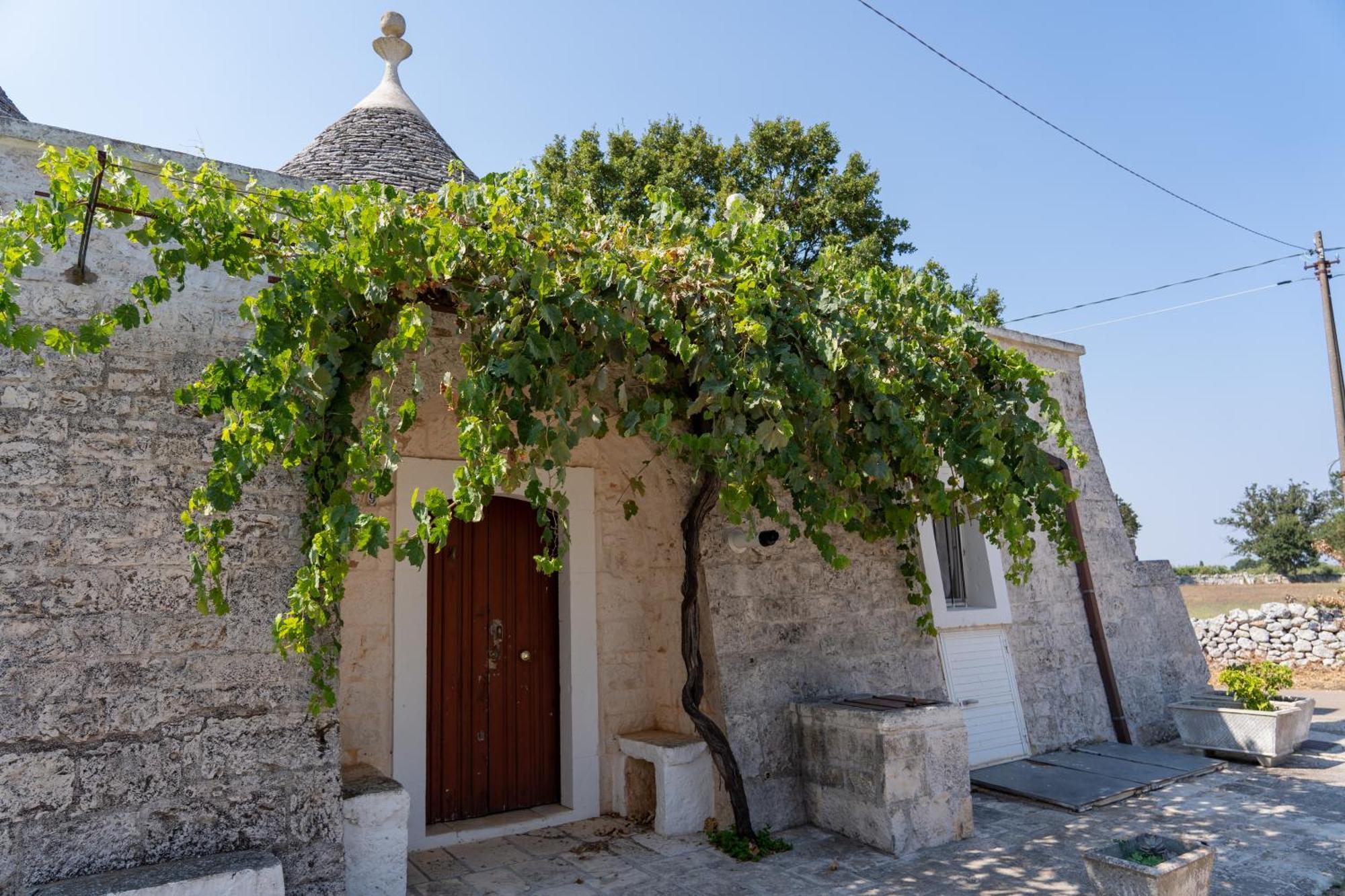 Trullo Vacanze Di Cumma Rosa Алберобело Екстериор снимка